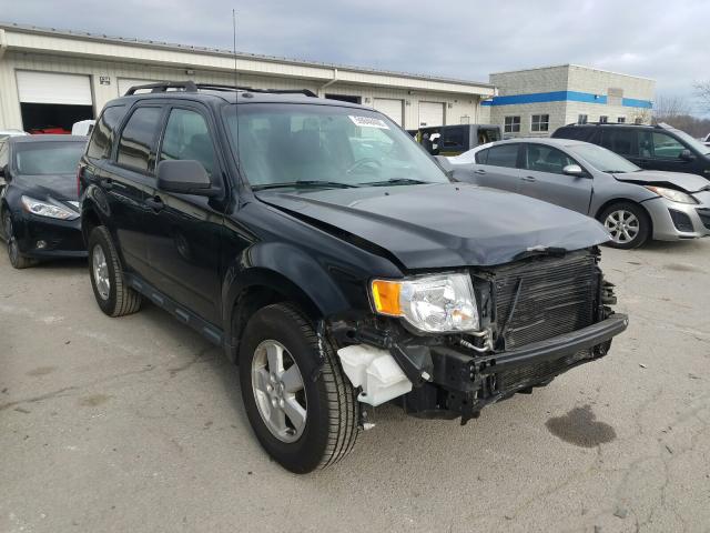 Ford Escape xlt (2010)