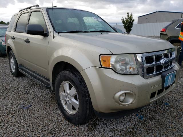 Ford Escape xlt (2010)