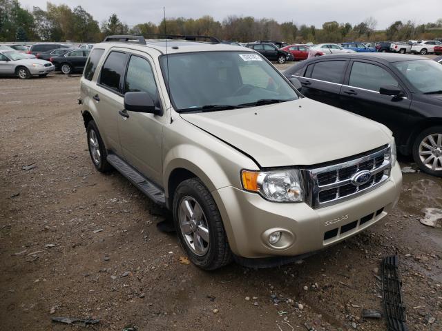 Ford Escape xlt (2010)