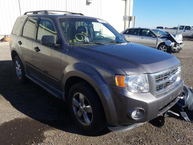 Ford Escape xlt (2010)