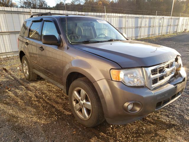 Ford Escape xlt (2010)