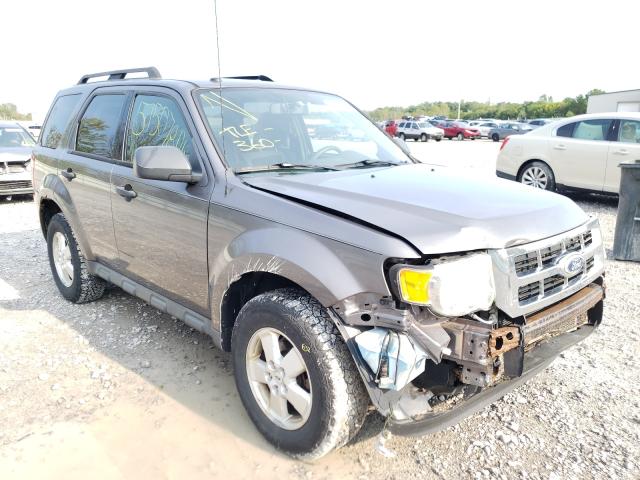 Ford Escape xlt (2010)