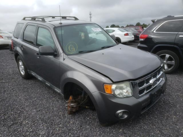 Ford Escape xlt (2010)