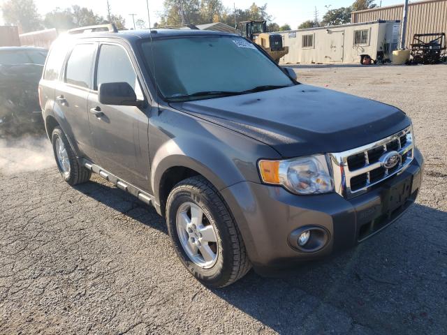 Ford Escape xlt (2011)