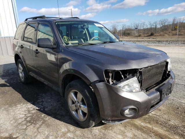 Ford Escape xlt (2011)