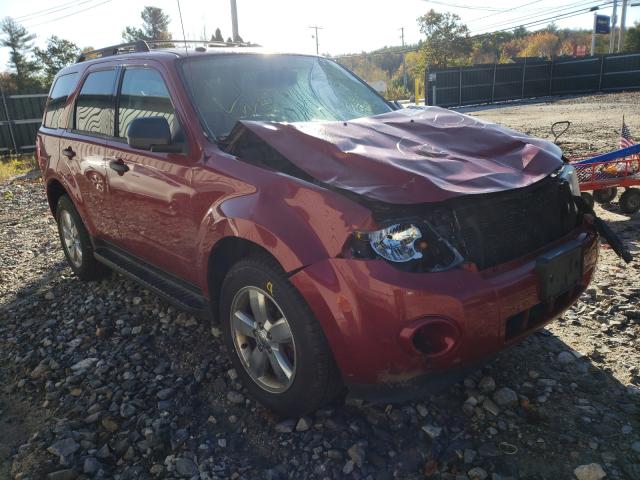 Ford Escape xlt (2011)