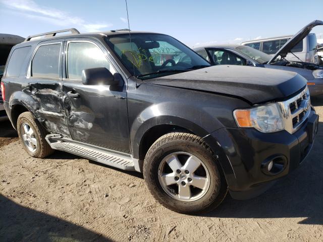 Ford Escape xlt (2011)