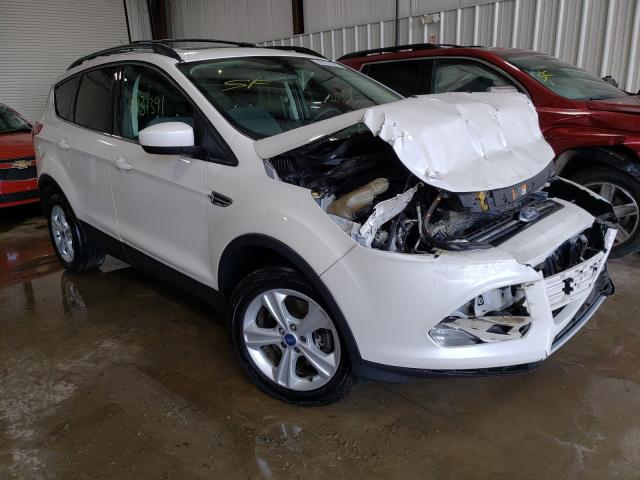 Ford Escape se (2013)