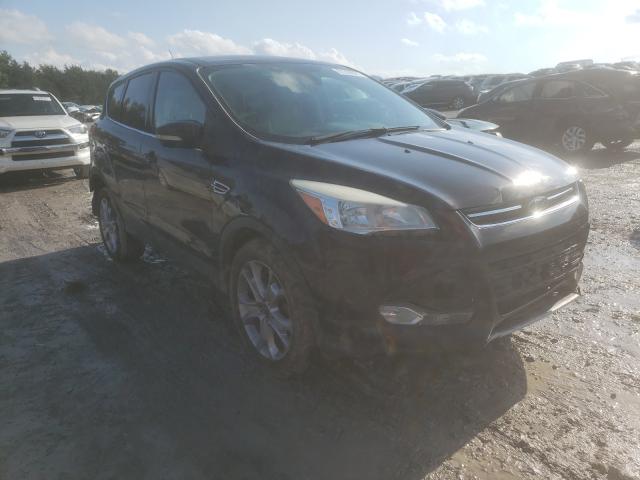 Ford Escape sel (2013)