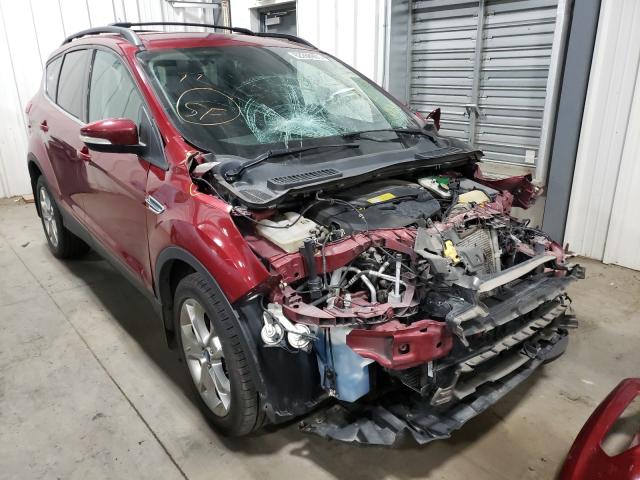 Ford Escape sel (2013)