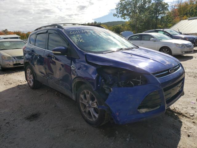 Ford Escape sel (2013)
