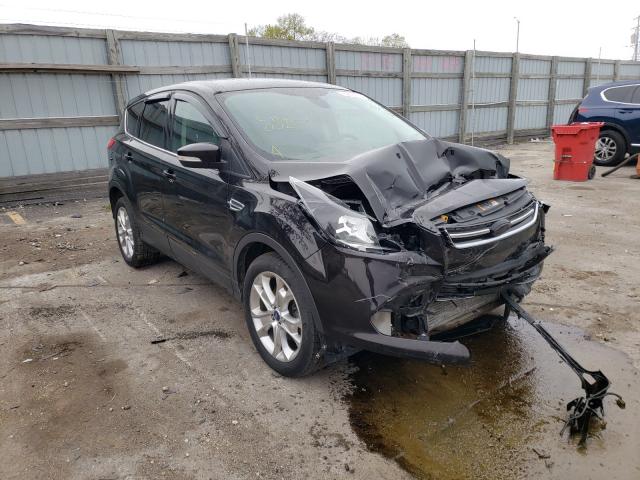 Ford Escape sel (2013)