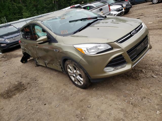 Ford Escape sel (2013)