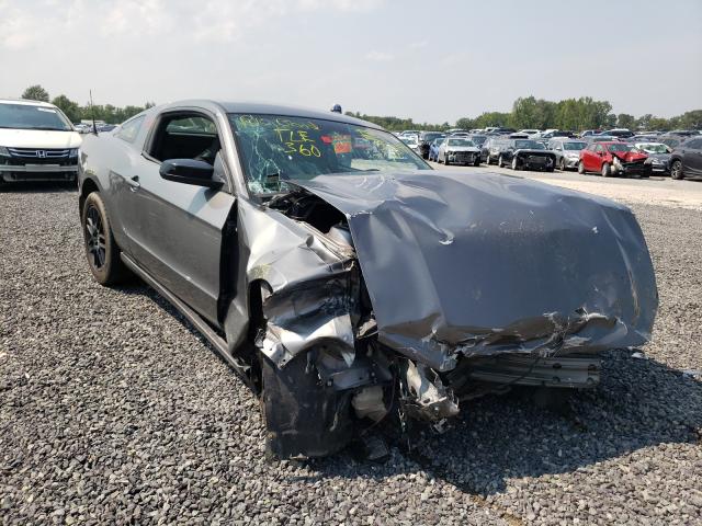 Ford Mustang (2014)