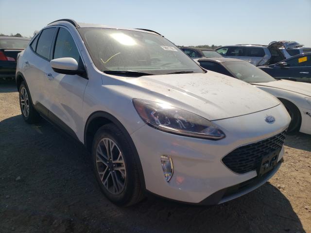 Ford Escape sel (2020)