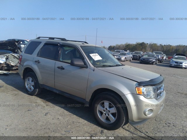 Ford Escape (2010)