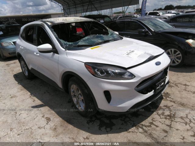Ford Escape (2020)