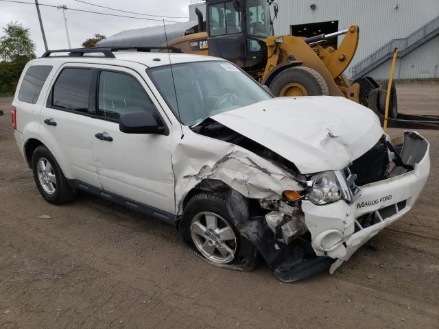 Ford Escape xlt (2011)