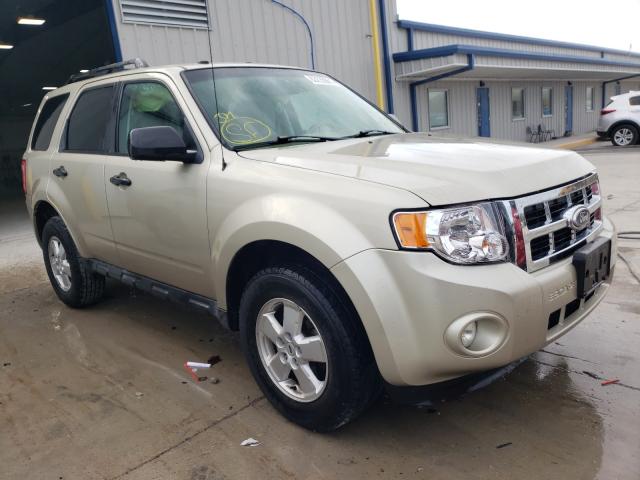 Ford Escape xlt (2010)