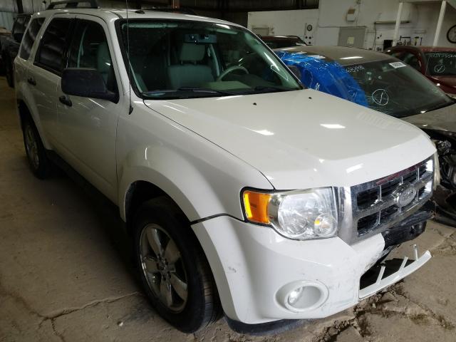Ford Escape xlt (2010)