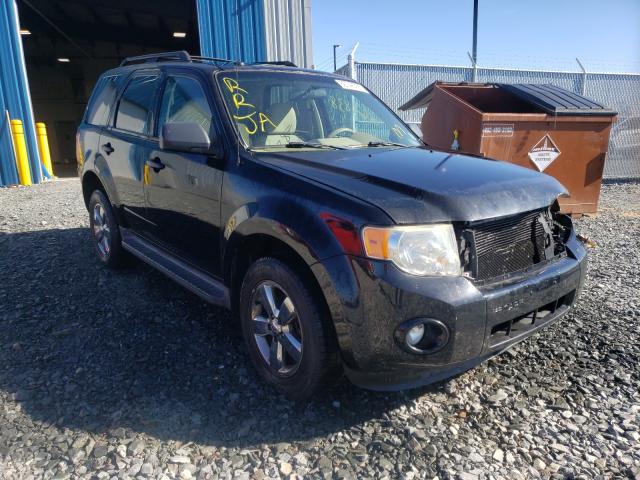 Ford Escape xlt (2010)