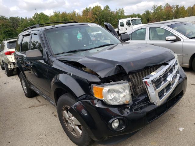 Ford Escape xlt (2010)