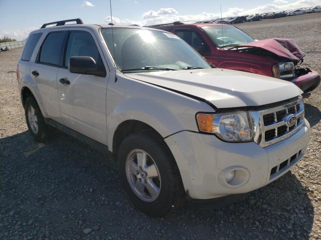 Ford Escape xlt (2011)