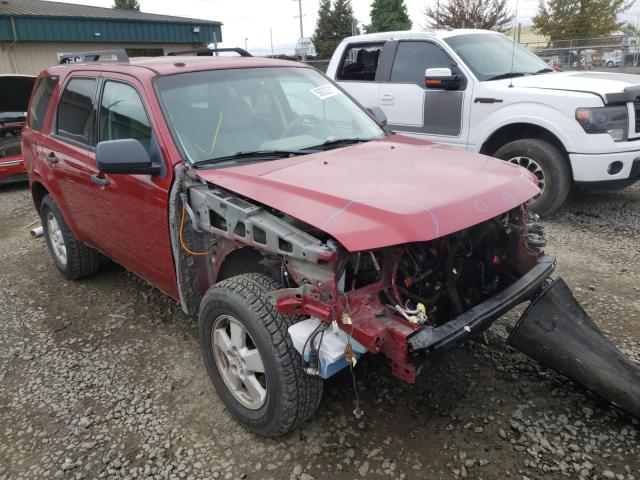 Ford Escape xlt (2011)