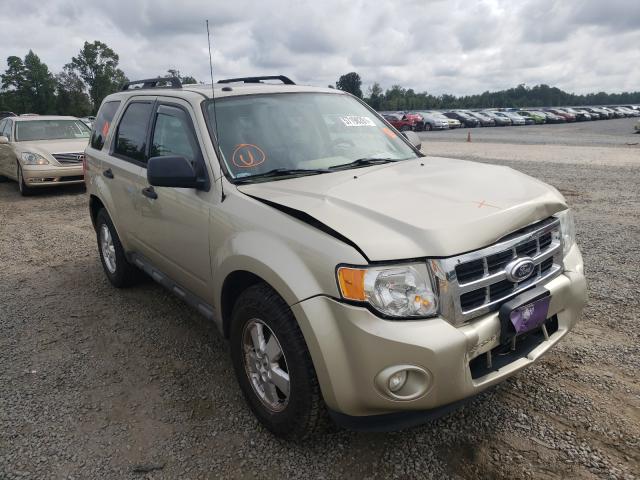 Ford Escape xlt (2011)