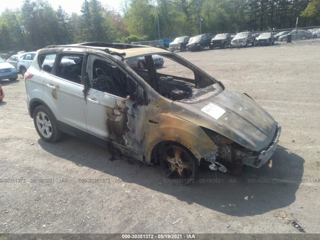 Ford Escape (2014)
