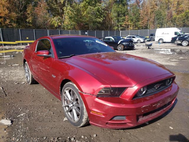 Ford Mustang gt (2014)