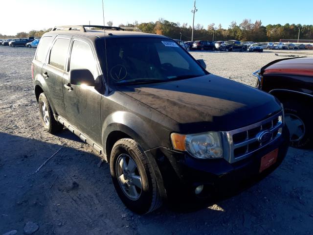 Ford Escape xlt (2010)