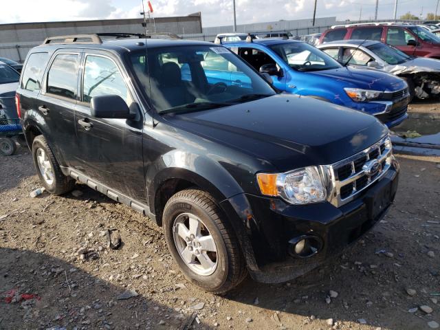 Ford Escape xlt (2011)