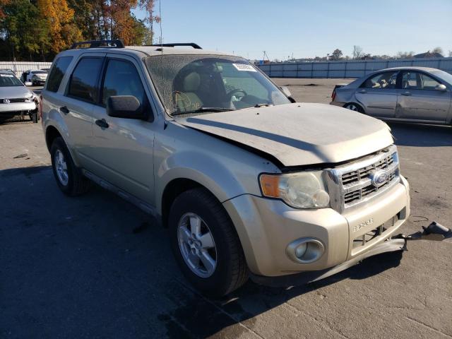 Ford Escape xlt (2011)