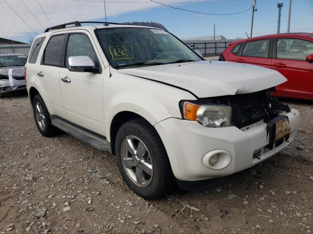 Ford Escape xlt (2011)