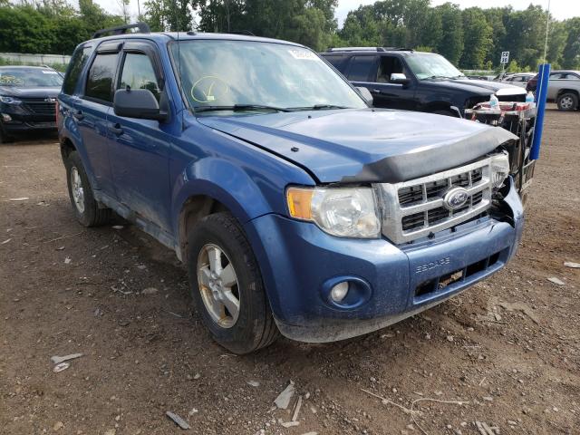 Ford Escape xlt (2010)
