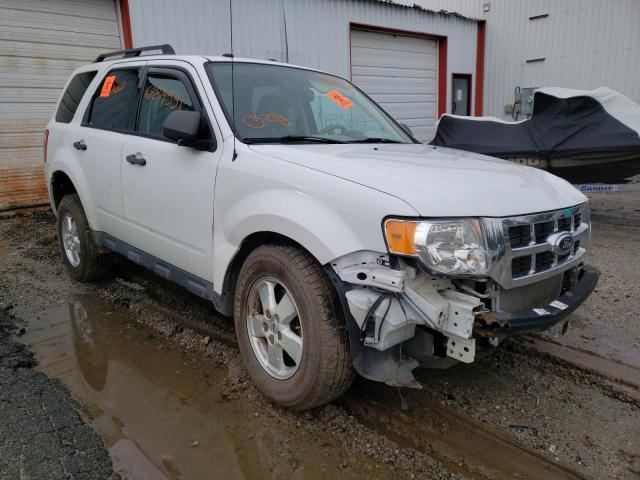 Ford Escape xlt (2011)