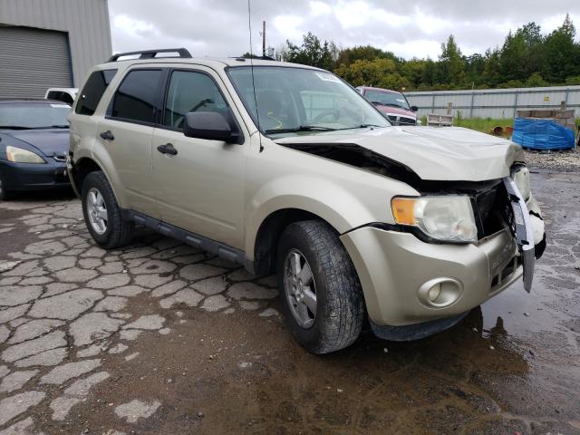 Ford Escape xlt (2011)