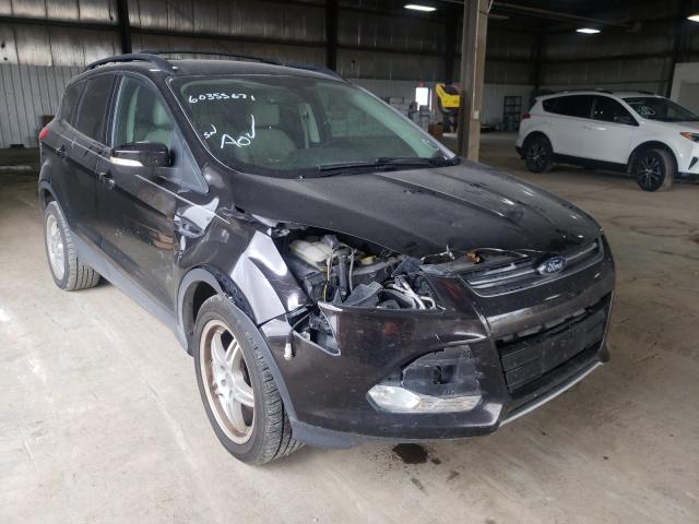 Ford Escape sel (2013)