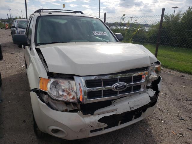 Ford Escape xlt (2010)