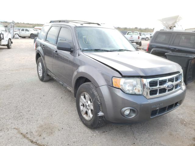 Ford Escape xlt (2010)
