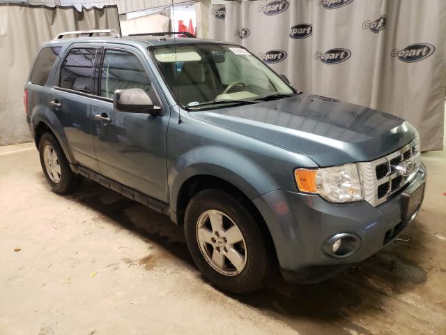 Ford Escape xlt (2011)