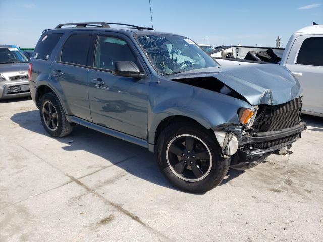 Ford Escape xlt (2011)