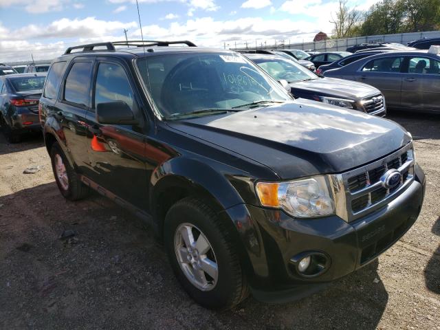 Ford Escape xlt (2011)