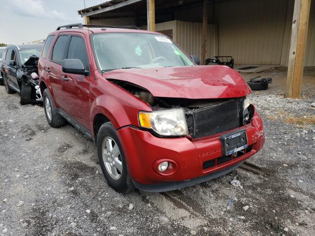 Ford Escape xlt (2011)