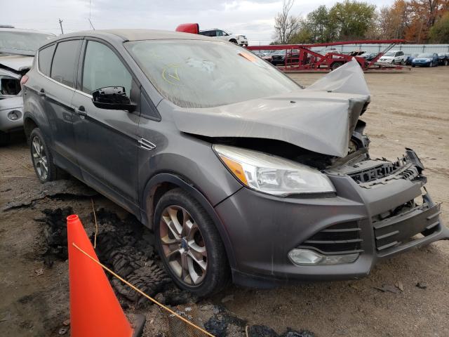 Ford Escape sel (2013)