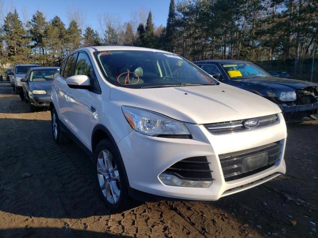 Ford Escape sel (2013)