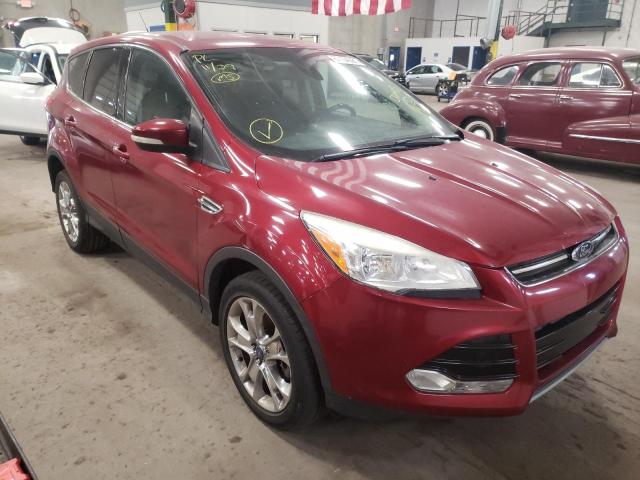 Ford Escape sel (2013)