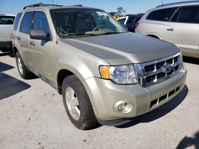 Ford Escape xlt (2011)