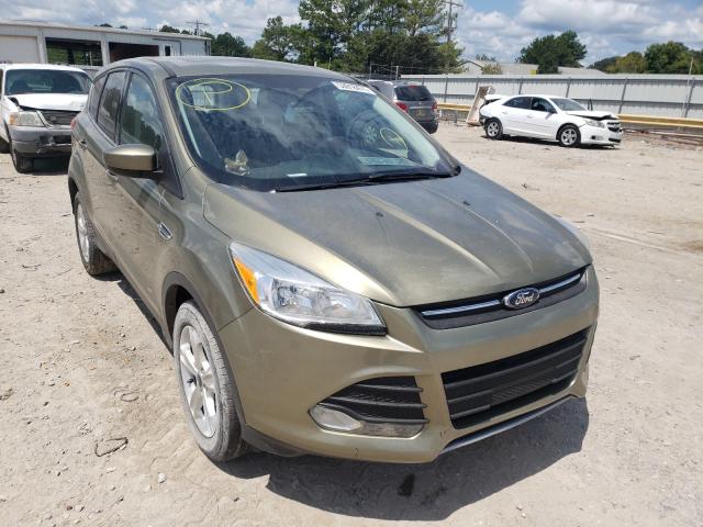 Ford Escape se (2014)